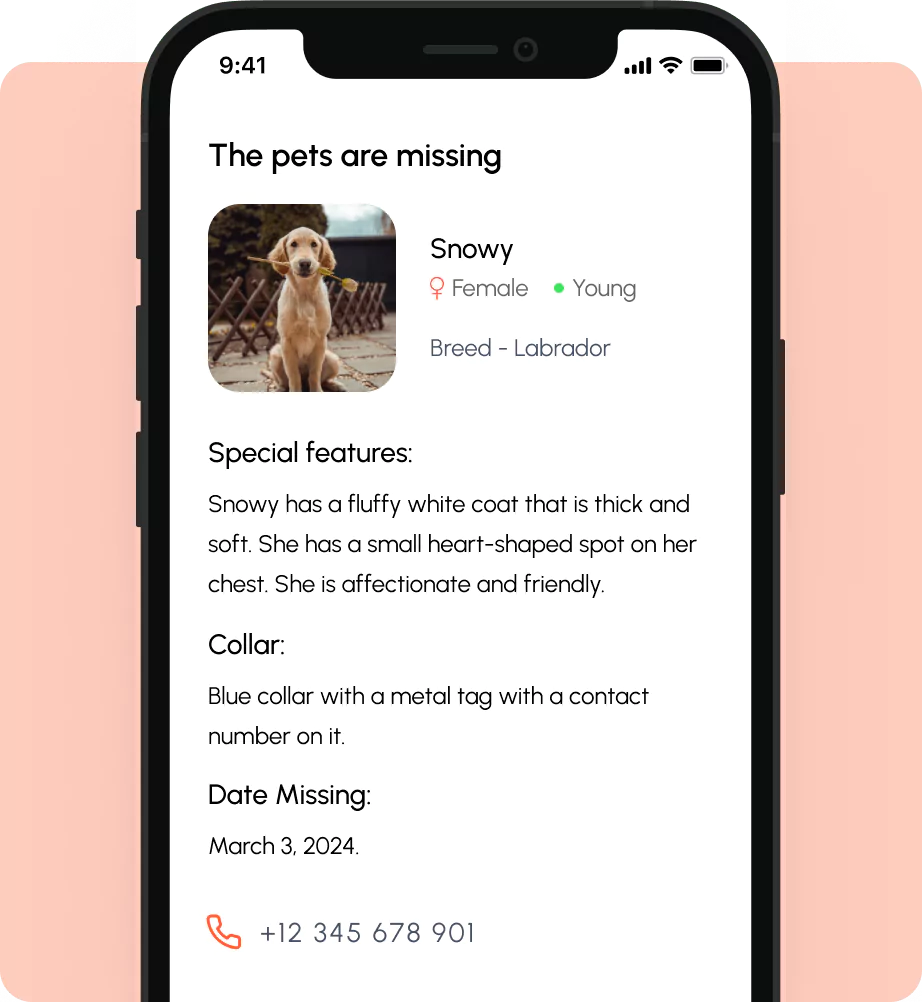 missing pet posters